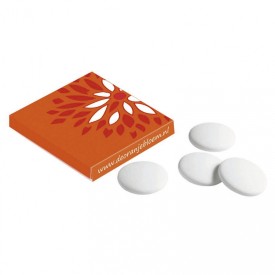 Pepermunt - 4 stuks in vierkant doosje - vegan en halal