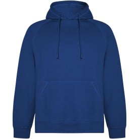 Vinson unisex hoodie-Royal