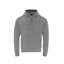 Volwassene Hooded Sweatshirt Dretius-Grijs