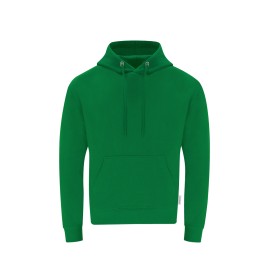 Volwassene Hooded Sweatshirt Dretius-Groen