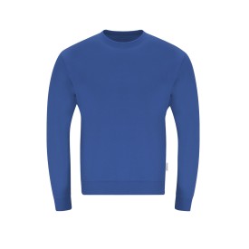 Volwassene Sweatshirt Skelton-Blauw