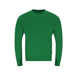 Volwassene Sweatshirt Skelton-Groen