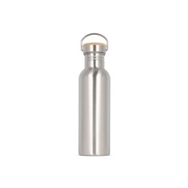 Waterfles Ashton 750ml-Zilver