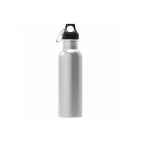 Waterfles Lennox 750ml-Zilver