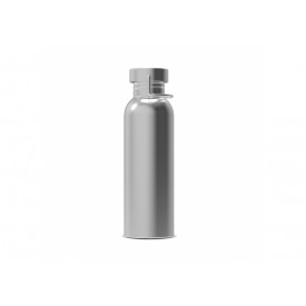 Waterfles Skyler 750ml-Zilver