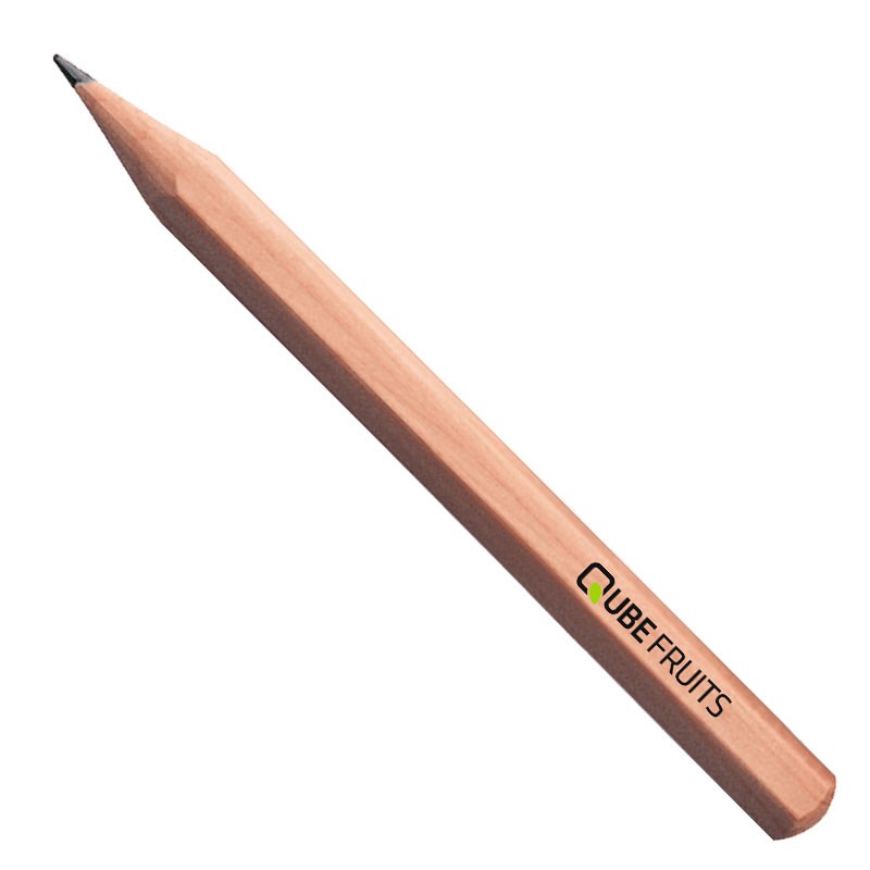 Stabilo Pencil Hexagonal- 8.5 cm