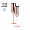 Gagx champagneglazen set - 270ml - RVS - geschenkverpakking