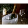 Loire champagneglas 230ml - glas - Made in Europe