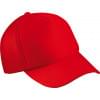 5 panel mesh cap - polyester - zweetband - click en snap sluiting