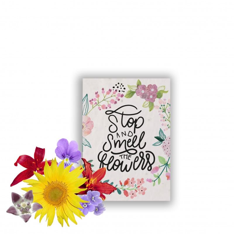 A5 zaadpapier wilde bloemen