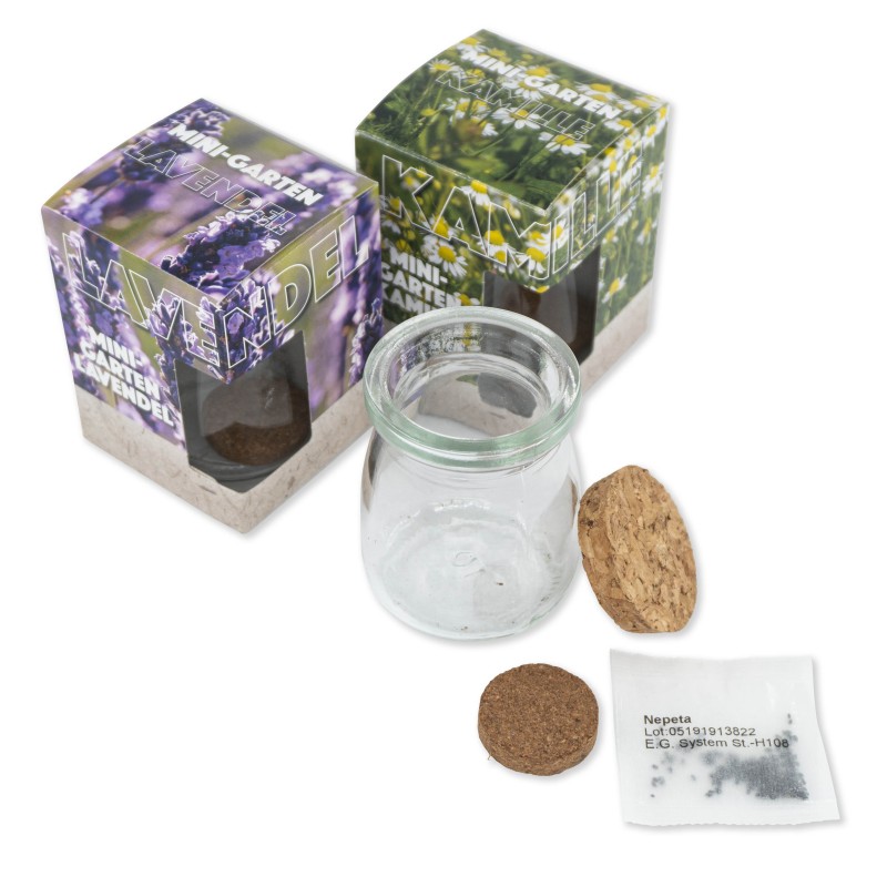 Glazen pot met zaadjes in doosje