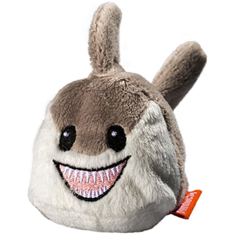 Haai