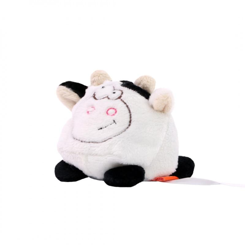 Koe