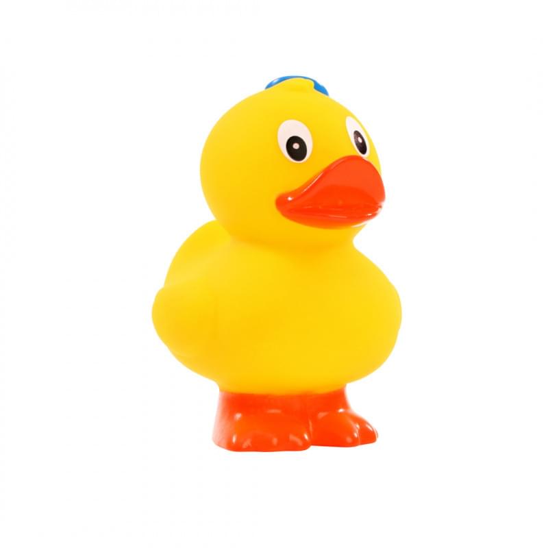Piepende eend staande zeeman