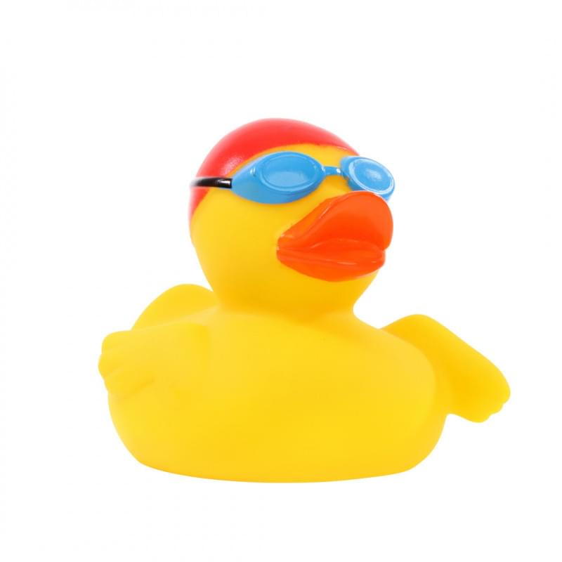 Piepende eend zwemmer