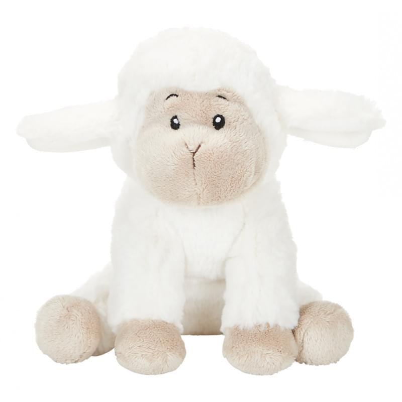 Schapen Tede