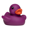 Squeaky Duck Color Changing