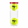 Wilson Championship tennisballen