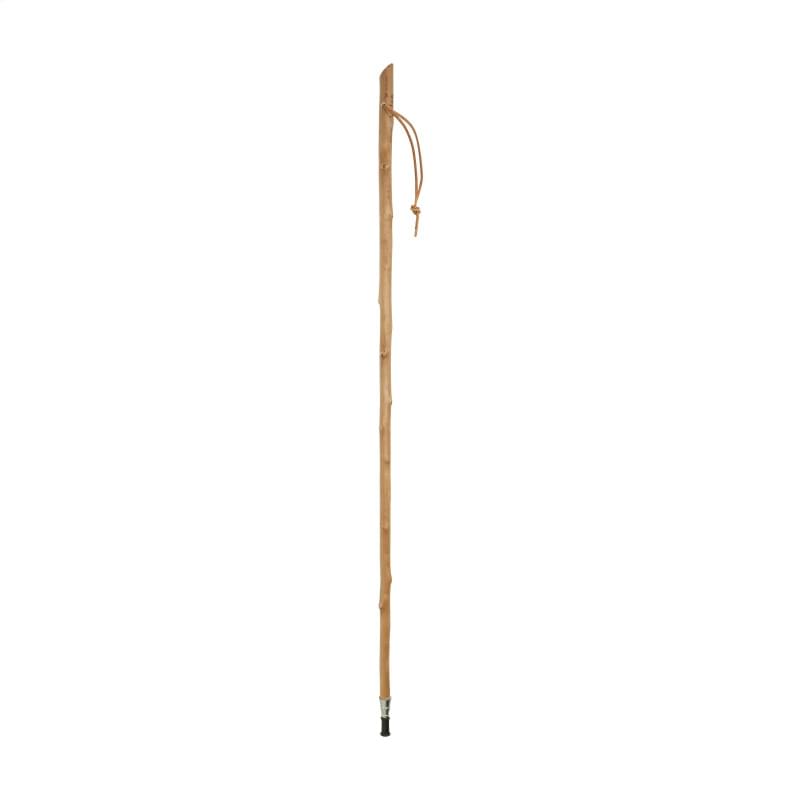 CleanWalk Walkingstick wandelstok