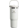 Stanley IceFlow™ tumbler drinkfles 890 ml - RVS - dubbelwandig met rietje