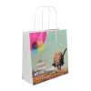 Papieren tas 140 g/m² - 24 x 9 x 24 cm - gelamineerd - all over bedrukt - gedraaid koord
