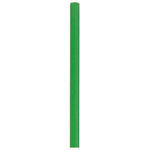 Carpintero-Groen
